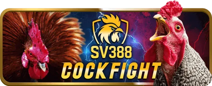 Hướng dẫn tải và cài đặt shbet88 app